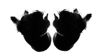 Illustration for article titled Shooting Challenge Rorschach Gallery